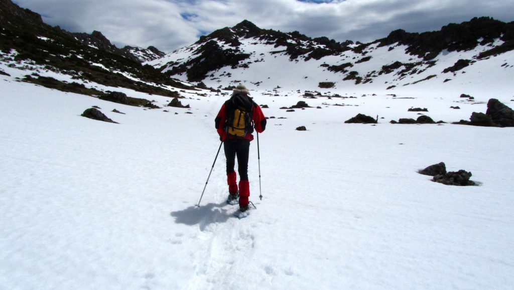 Esquiador practicando esquí de fondo sobre la nieve. Practicando deportes de invierno en Asturias.